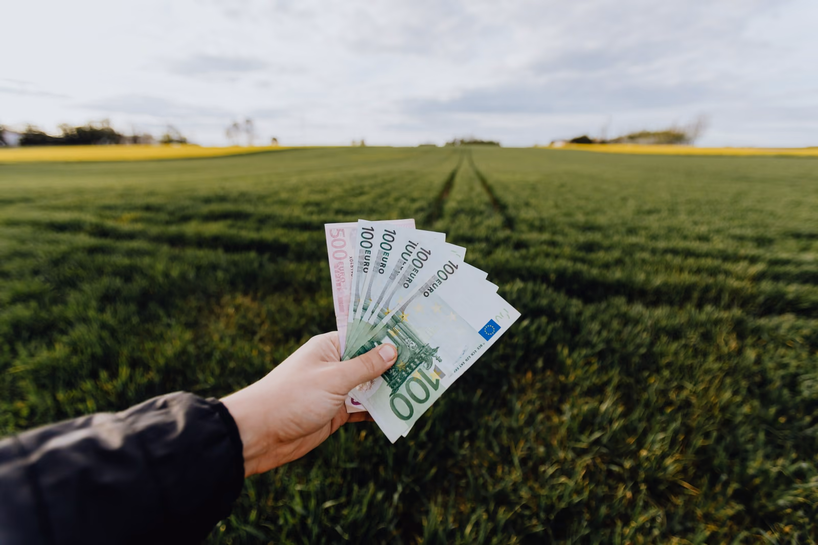 Hand hält Euro-Geldscheine über einem Feld, Symbol für Förderung und Einsparung